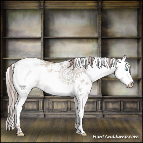 Horse Color:Platinum Buckskin Pearl Sabino