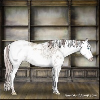 Horse Color:Platinum Buckskin Pearl Sabino 