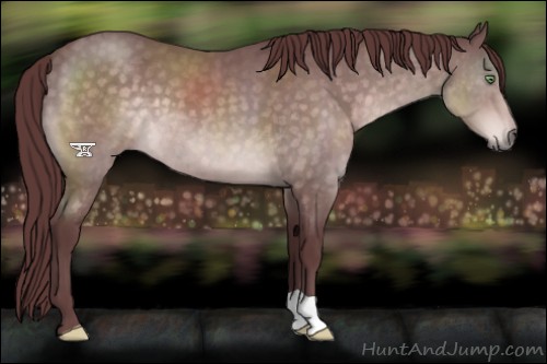 Horse Color:Platinum Chocolate Buckskin 