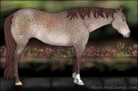 Horse Color:Platinum Chocolate Buckskin 