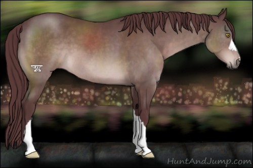 Horse Color:Platinum Chocolate Brown 