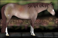 Horse Color:Platinum Chocolate Brown 