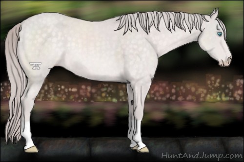 Horse Color:Platinum Perlino