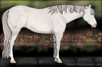 Horse Color:Platinum Perlino 