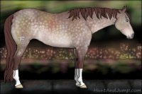 Horse Color:Platinum Chocolate Buckskin 
