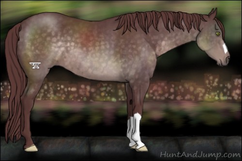 Horse Color:Platinum Chocolate Buckskin 