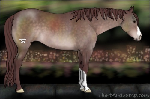Horse Color:Platinum Chocolate Brown