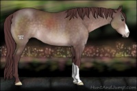 Horse Color:Platinum Chocolate Brown 