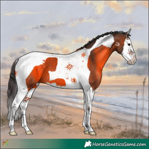 Horse Color:Brown Splash Tobiano 