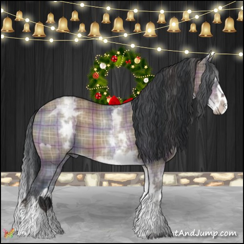 Horse Color:Plaid  White Spotted Brown Dun Splash 
