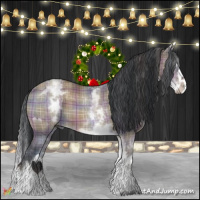 Horse Color:Plaid  White Spotted Brown Dun Splash 