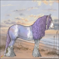 Horse Color:Watercolor White Spotted Liver Red Dun 