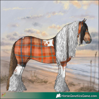 Horse Color:Plaid Bay Tobiano