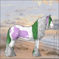 Horse Color:Watercolor Buckskin Splash Tobiano 