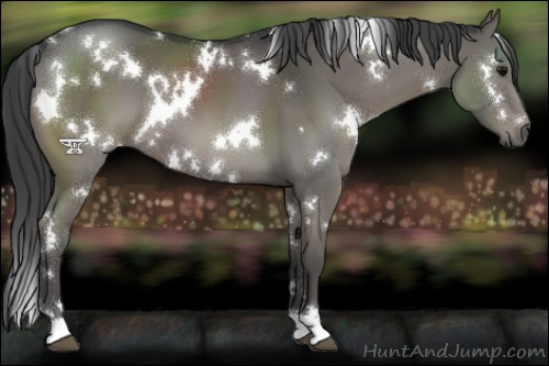 Horse Color:Platinum White Spotted Black
