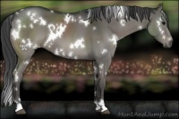 Horse Color:Platinum White Spotted Black 