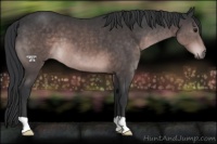 Horse Color:Platinum Brown 