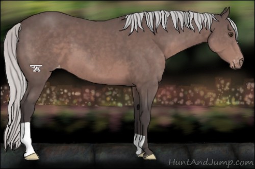 Horse Color:Platinum Silver Brown Appaloosa 
