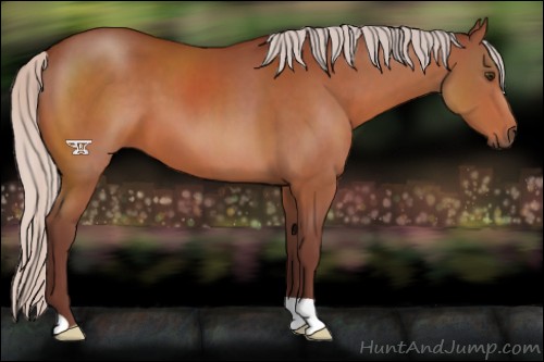 Horse Color:Chocolate Silver Brown 