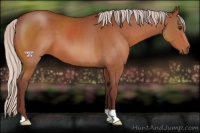 Horse Color:Chocolate Silver Brown 