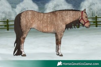 Horse Color:Liver Red Dun  and Liver Red Dun 