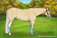 Horse Color:Silver Classic Champagne Dun Splash Frame