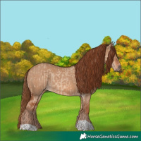 Horse Color:Red Dun  and Red Dun 