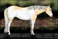 Horse Color:Silver Buckskin Dun Tobiano Frame 