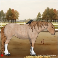 Horse Color:Red Roan 