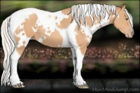 Horse Color:White Spotted Silver Amber Champagne Tobiano 