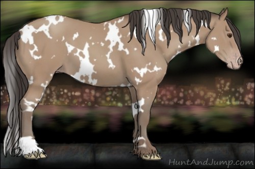 Horse Color:White Spotted Classic Champagne