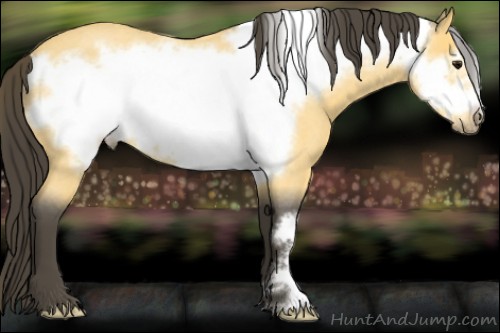 Horse Color:Buckskin Roan Frame 