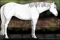 Horse Color:Silver Black Sabino Splash Appaloosa 