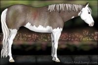Horse Color:Silver Black Sabino Splash Rabicano 