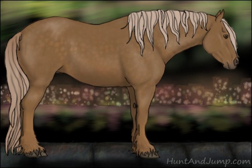 Horse Color:Chocolate Palomino