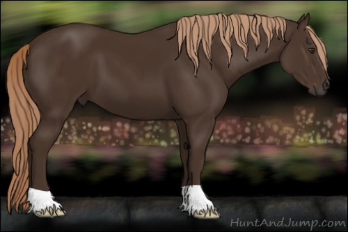 Horse Color:Liver Chestnut 