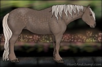 Horse Color:Silver Black 