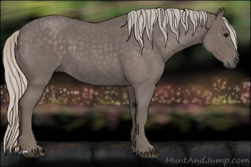 Horse Color:Silver Blue Roan