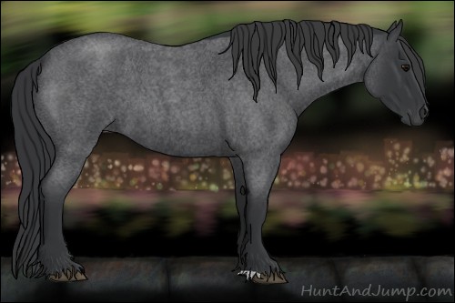 Horse Color:Blue Roan 
