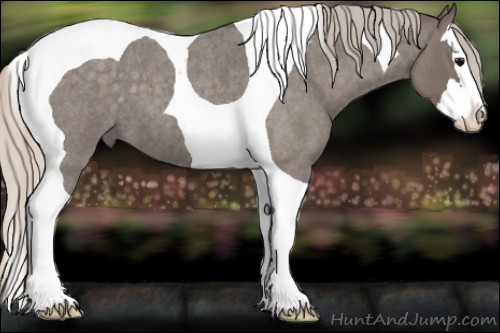 Horse Color:Silver Blue Roan Splash Tobiano 