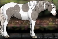 Horse Color:Silver Blue Roan Splash Tobiano