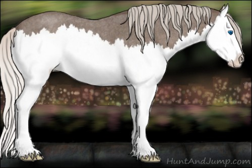 Horse Color:Silver Blue Roan Splash 