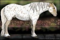Horse Color:Silver Smoky Black Tobiano Near Leopard