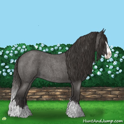 Horse Color:Smoky Blue Roan Splash