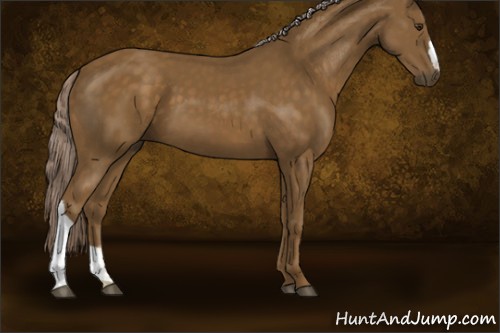 Horse Color:Chocolate Palomino