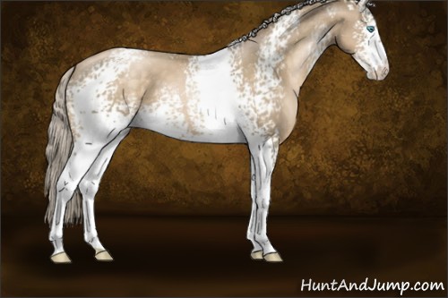 Horse Color:White Spotted Chocolate Palomino Pearl 