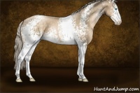 Horse Color:White Spotted Chocolate Palomino Pearl 