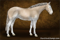 Horse Color:White Spotted Chocolate Palomino Pearl 
