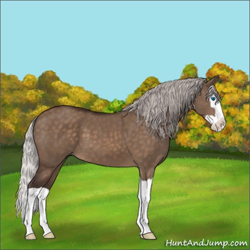Horse Color:Silver Brown Dun Splash 