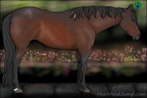 Horse Color:Brown 